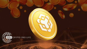 BNB Chain Hits One-Year High in Daily Active Addresses