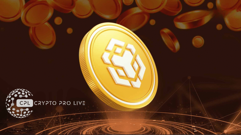 BNB Chain Hits One-Year High in Daily Active Addresses