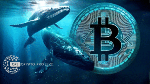 Whale's Bold Bet $900M Shorts Signal Crypto Storm Ahead