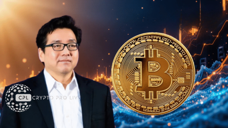 Tom Lee Doubles Down Bitcoin New ATH Before January 2025